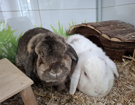 Wilfried, Wiltrud.jpg